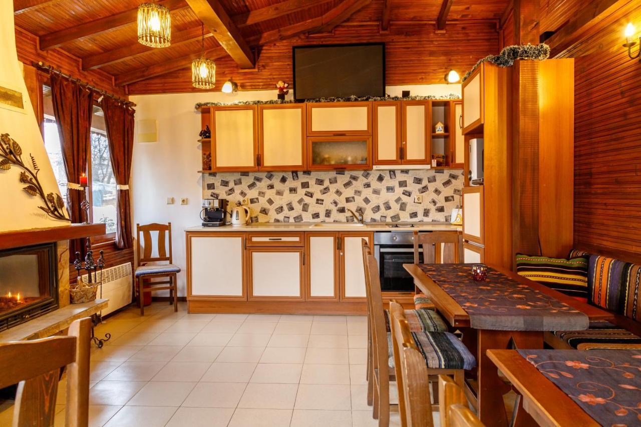 Villa Gamma Pavel Banja Exteriér fotografie