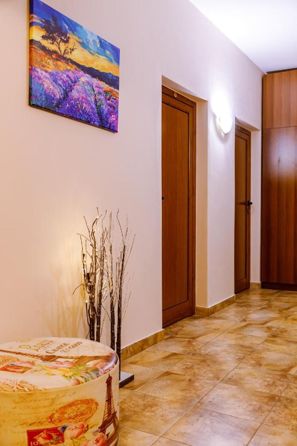 Villa Gamma Pavel Banja Exteriér fotografie
