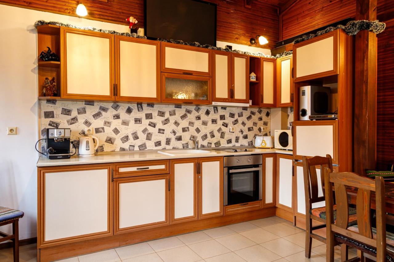 Villa Gamma Pavel Banja Exteriér fotografie
