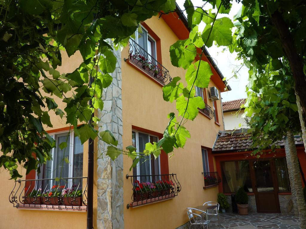 Villa Gamma Pavel Banja Exteriér fotografie