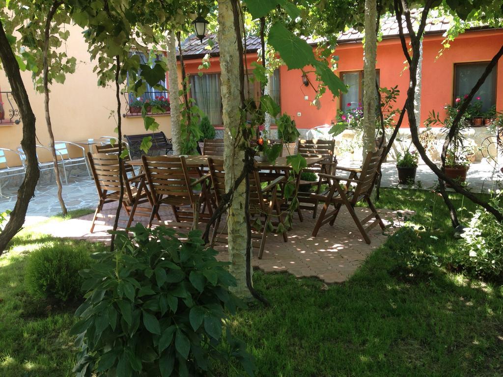 Villa Gamma Pavel Banja Exteriér fotografie